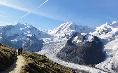 La Ginabelle