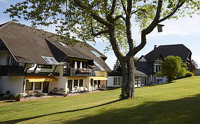 Zum Ochsen