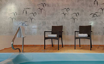 Alpine Spa Resorts