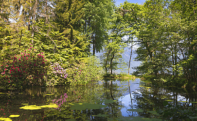 Der Waldhof ²