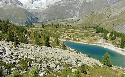 La Ginabelle
